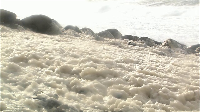 北海道知床海岸的波浪之花视频下载