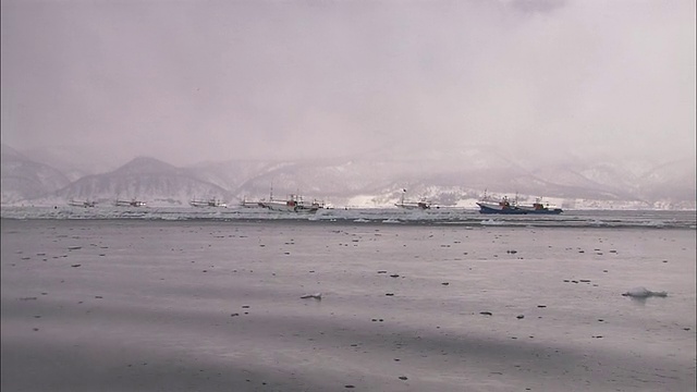 北海道海域的渔船视频下载
