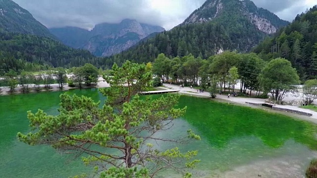美丽的树旁边的一个湖在山上视频下载