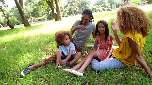 令人惊叹的非裔美国家庭在公园的一棵树下休息视频素材