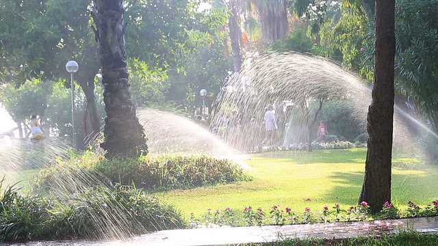草坪洒水浇水视频素材