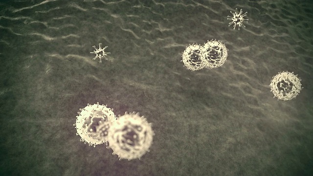 吞噬细胞、病毒视频素材