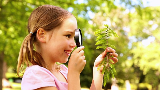 小女孩用放大镜看植物视频素材