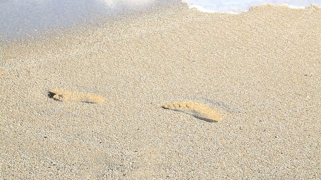 海滩上的脚印视频下载