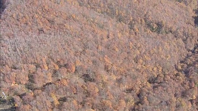 AERIAL，日本新泻的Omine山视频下载