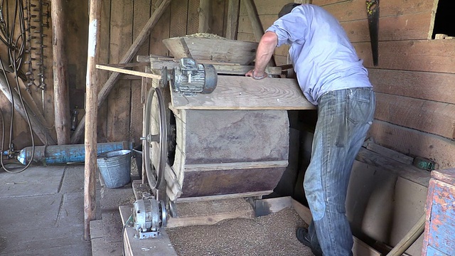 农民在谷仓里用旧手清洗竖琴加工谷物视频下载