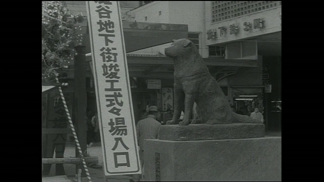涩谷车站前的地下购物中心在八公雕像附近的一个标志上宣布落成仪式。视频素材