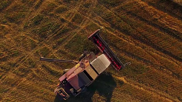 农机在收获时在田间工作视频素材