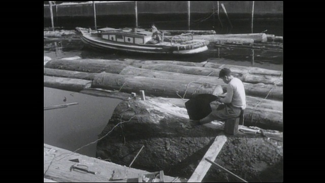 一名伐木工用手锯切割一根浮在水道上的原木。视频下载