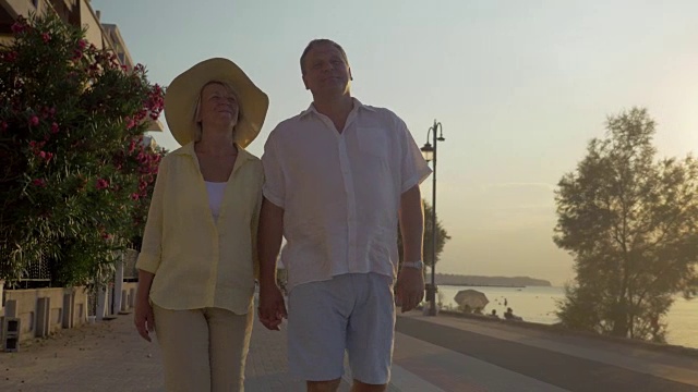 日落时分，一对老年夫妇在海边散步视频素材