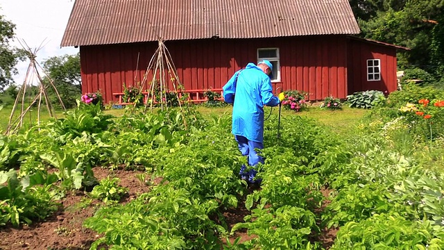 一名农民向马铃薯植株喷洒杀虫剂视频下载