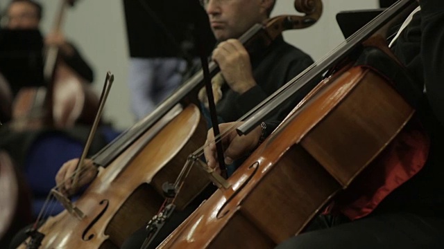 职业男大提琴家演奏他的大提琴视频素材