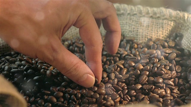 三段用慢镜头拍摄咖啡豆的视频视频下载