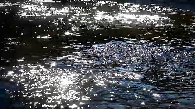 河岩树秋视频素材
