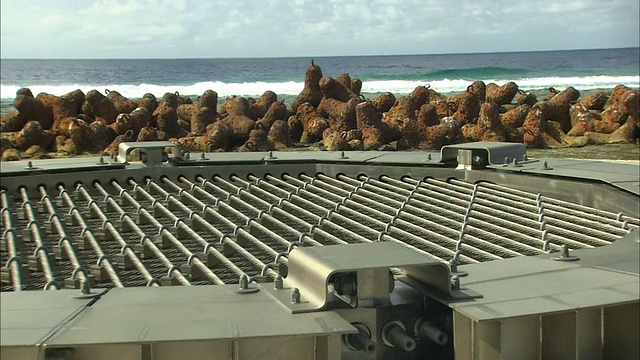 钢防波堤、混凝土护岸和金属电缆保护着日本冲之鸟岛北岛的表面。视频素材