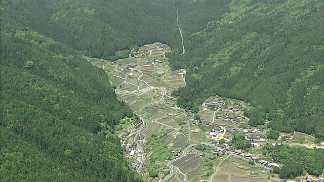 茂密的植被环绕着日本岐阜的Sakaori梯田。视频素材