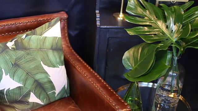 阅览室装饰五斗橱、扶手椅和豌豆用植物。视频下载