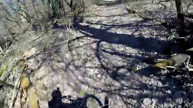在森林里骑山地自行车视频素材
