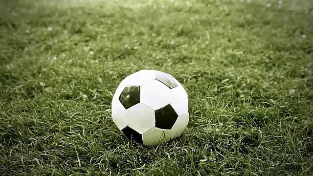 足球场上的草地上踢足球视频下载