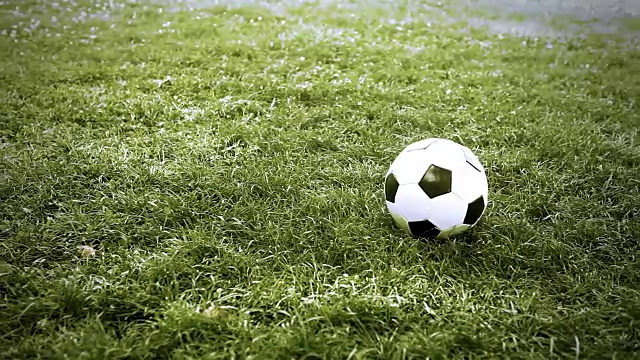 足球场上的草地上踢足球视频素材
