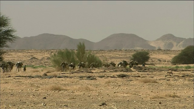 撒哈拉沙漠的骆驼商队视频下载