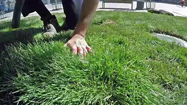 工人用斧头割草，这是一个新草坪的慢动作视频下载