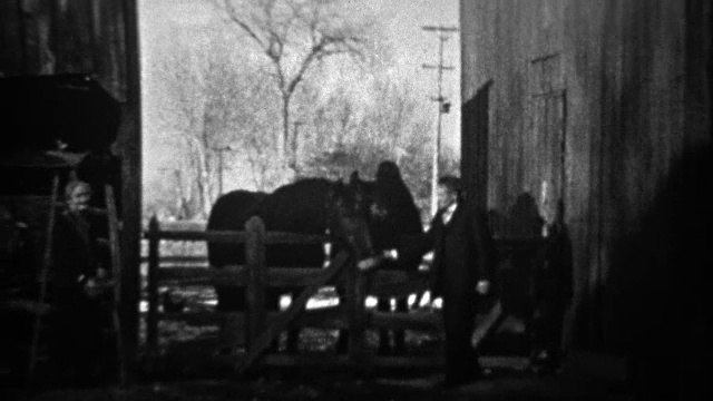 1933年:一位老人在户外的马厩里喂马。视频素材