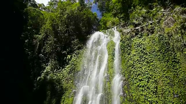 美丽的热带瀑布视频下载