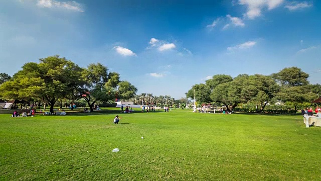 在迪拜河公园的小巷里有绿色的草坪和树木。阿拉伯联合酋长国迪拜视频下载