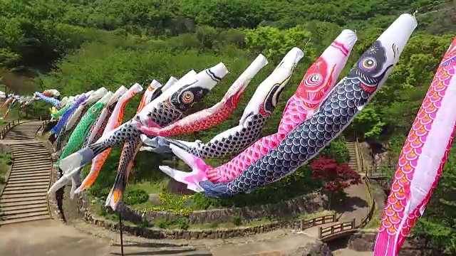 日本鲤鱼风筝彩带装饰视频素材