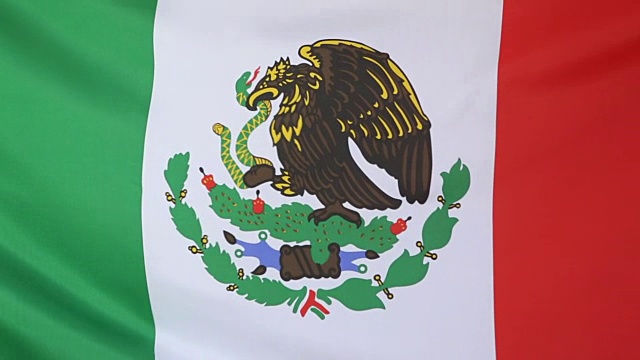 慢镜头中的墨西哥国旗视频下载