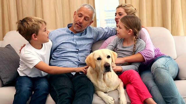 幸福的家庭在沙发上抚摸拉布拉多犬视频素材