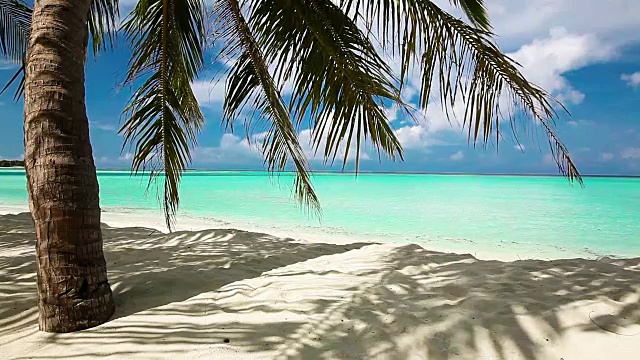 热带泻湖上的棕榈树和白色沙滩视频素材