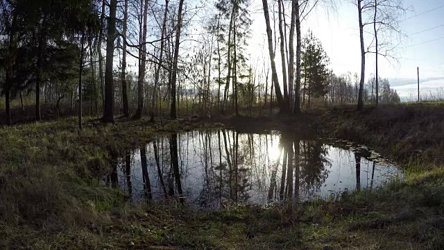 春日从池塘上升起，时光流逝视频下载