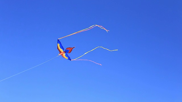 五颜六色的风筝在蓝天上飞翔视频下载