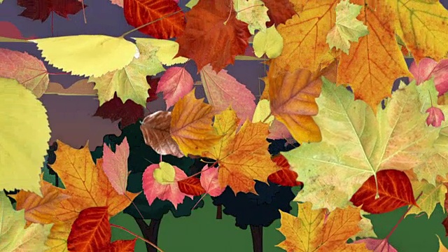 秋天从树上落下的叶子视频下载