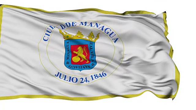 马那瓜市孤立飘扬的旗帜视频下载