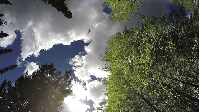 蓝天上的云朵飘过树木视频下载