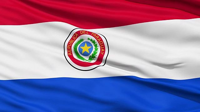 挥舞着巴拉圭国旗视频下载