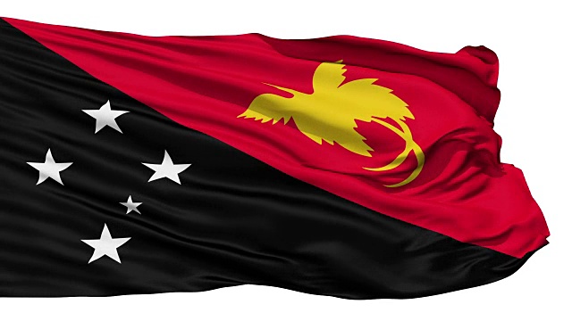 挥舞着巴布亚新几内亚国旗视频下载