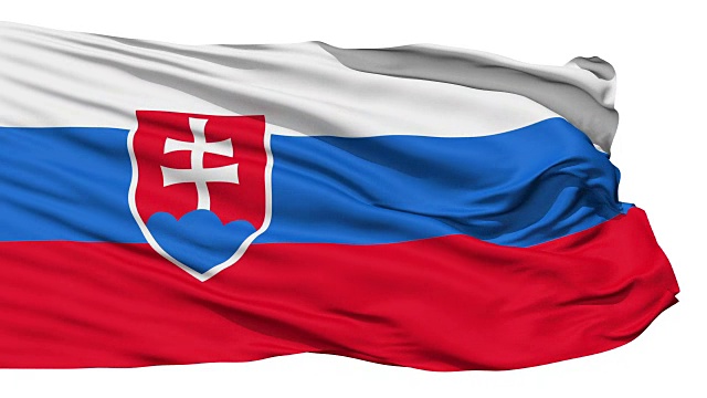 挥舞着斯洛伐克国旗视频素材
