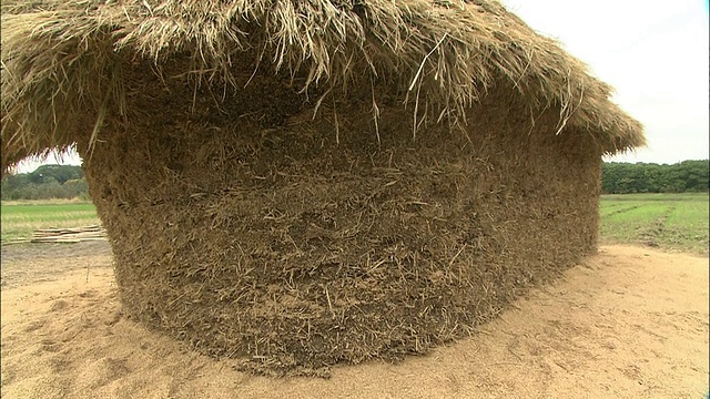 一堆干草做成了日本的Funano。视频下载