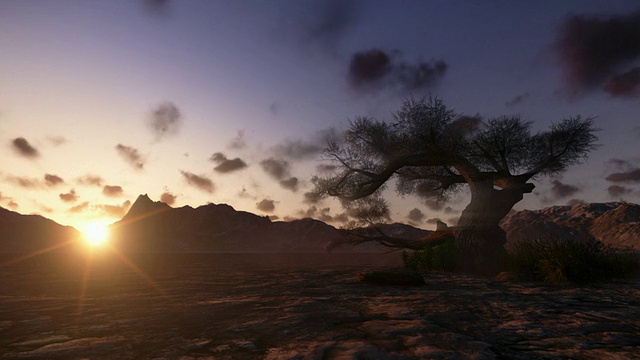 孤独的树和山在日落，时间流逝视频素材
