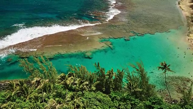 鸟瞰图飞过椰子树揭示热带蓝色泻湖视频素材