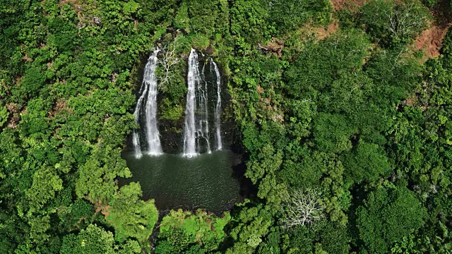 鸟瞰图惊人的双瀑布在热带雨林丛林视频素材
