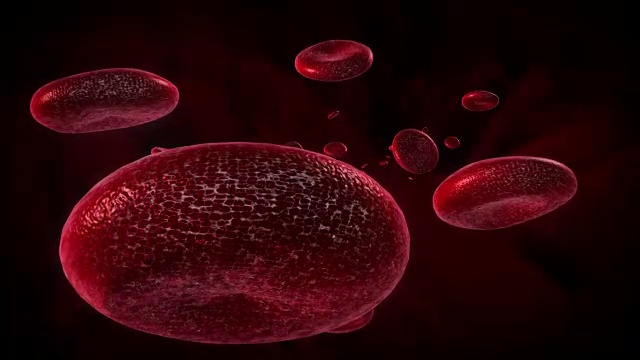 血细胞3D动画视频素材