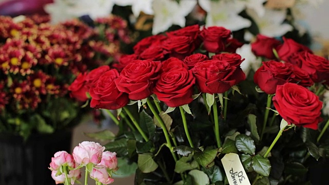 近景的一束红玫瑰和其他花的背景。视频素材