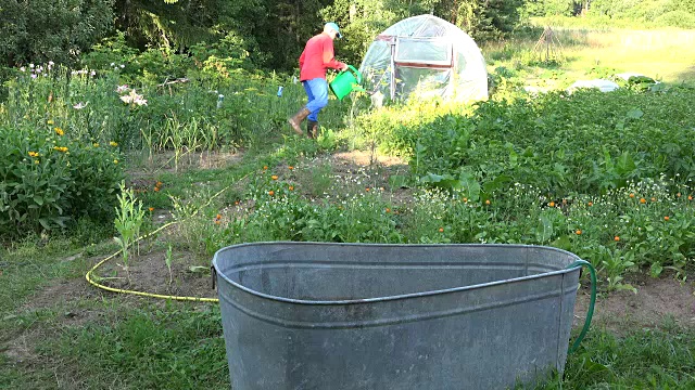农夫用罐子在花园里打水浇植物视频下载