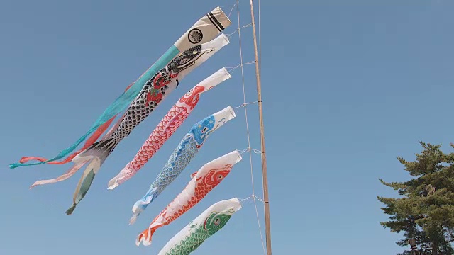 Koinobori Japanease鲤鱼流光,东京,日本视频素材