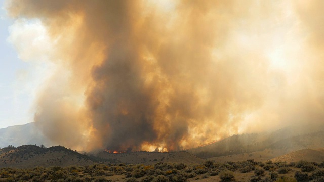 森林大火的烟雾视频素材